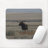 M1 Bull Moose Mousepad (Mit Mouse)