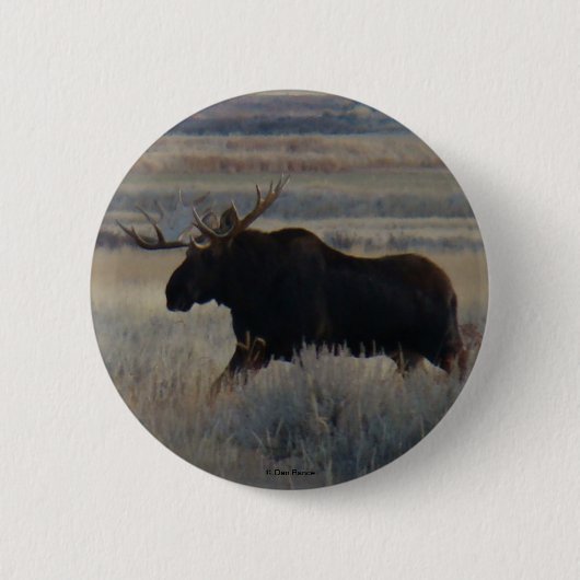 M2 Bull Moose Button (Vorderseite)