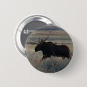 M2 Bull Moose Button (Vorne & Hinten)
