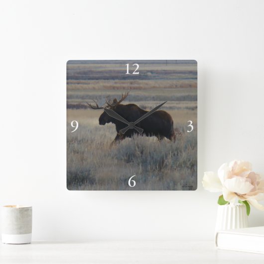 M2 Bull Moose Quadratische Wanduhr (Zuhause)