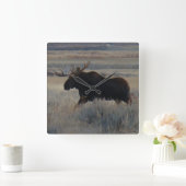 M2 Bull Moose Quadratische Wanduhr (Zuhause)