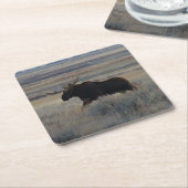 M2 Bull Moose Rechteckiger Pappuntersetzer (angewinkelt)