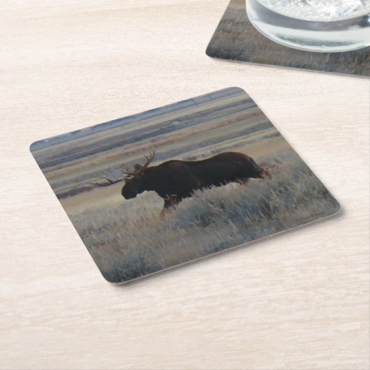 M2 Bull Moose Rechteckiger Pappuntersetzer (angewinkelt)