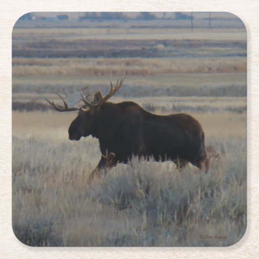 M2 Bull Moose Rechteckiger Pappuntersetzer (Vorderseite)
