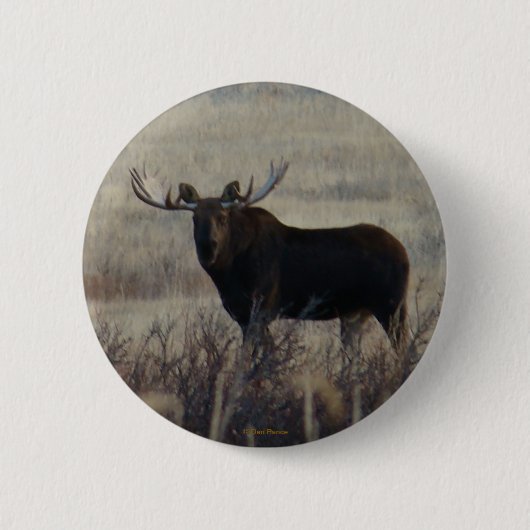 M3 Bull Moose Button (Vorderseite)