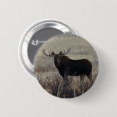 M3 Bull Moose Button (Vorne & Hinten)