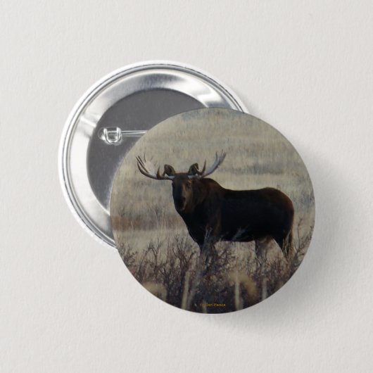 M3 Bull Moose Button (Vorne & Hinten)