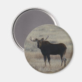 M4 Bull Moose Magnet (Vorderseite/Rückseite)