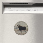 M4 Bull Moose Magnet (In Situ (Geschirrspüler))