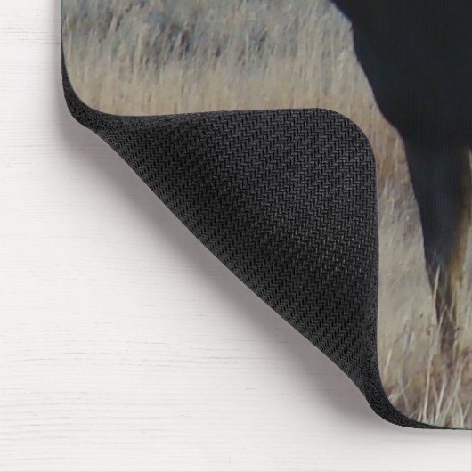 M4 Bull Moose Mousepad (Ecke)