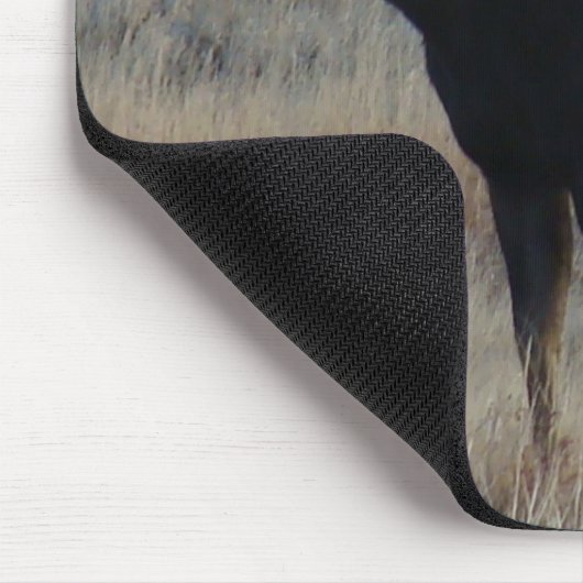 M4 Bull Moose Mousepad (Ecke)