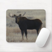 M4 Bull Moose Mousepad (Mit Mouse)