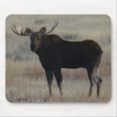 M4 Bull Moose Mousepad (Vorne)