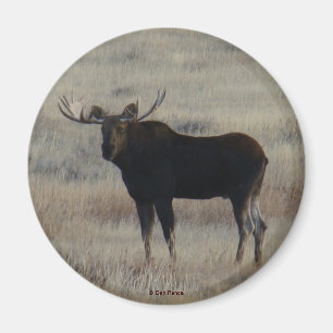 M4 Bullmoose Magnet