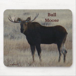 M4 Bullmoose Mousepad