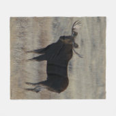 M4 Elchbulle Fleecedecke (Vorderseite (Horizontal))