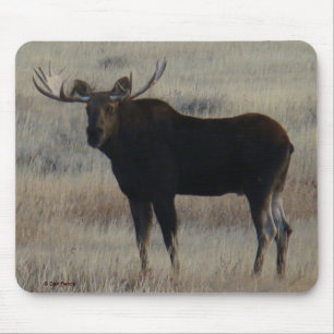 M4 Elchbulle Mousepad