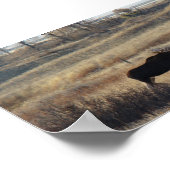 M5 Bull Elch in den Sandbergen Poster (Ecke)