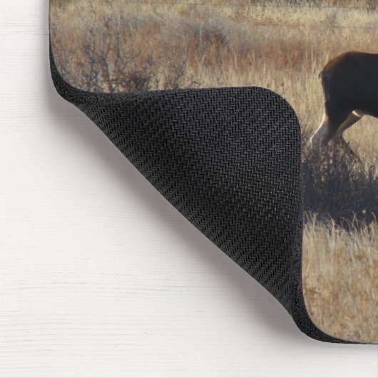 M5 Bull Elch Mousepad (Ecke)