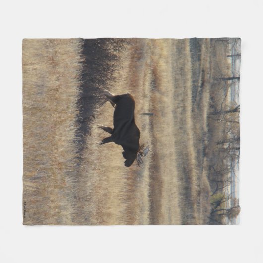 M5 Bull Moose and Sand Hills Fleecedecke (Vorderseite (Horizontal))