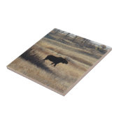 M5 Bull Moose and Sand Hills Fliese (Seite)