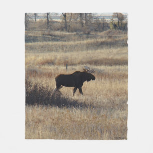 M5 Bull Moose und Sand Hills Fleecedecke