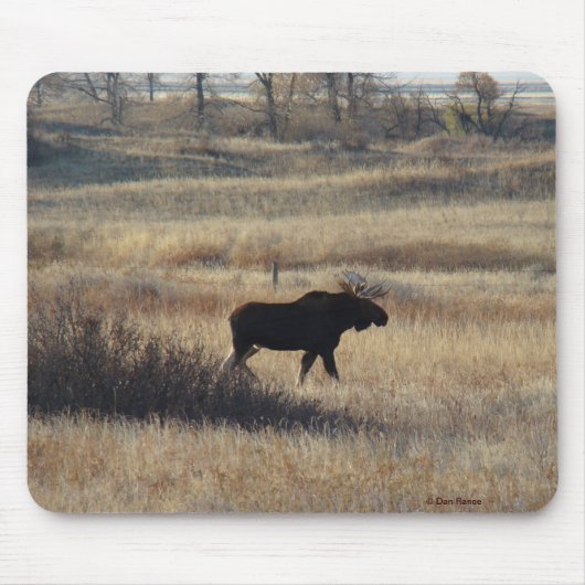 M5 Elch Mousepad (Vorne)