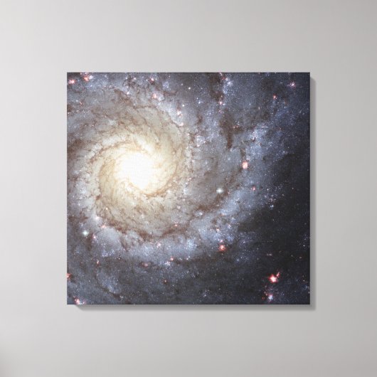 M74 Galaxy Leinwanddruck (Vorderseite)