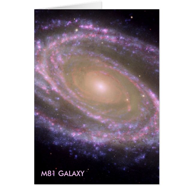 M81 GALAXY (Vorne)
