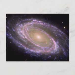 M81 Galaxy ist in Rosa Hübsch Postkarte