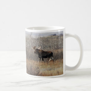 M8 Bull-Elch im Gestrüpp Kaffeetasse