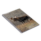 M8 Bull Elche in Scrub Brush Notizblock (Rechte Seite)