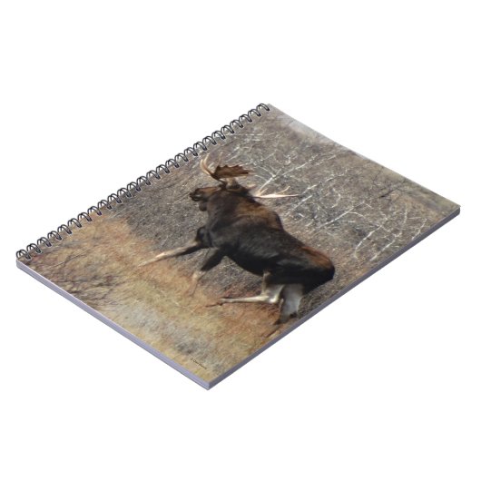 M8 Bull Elche in Scrub Brush Notizblock (Linke Seite)