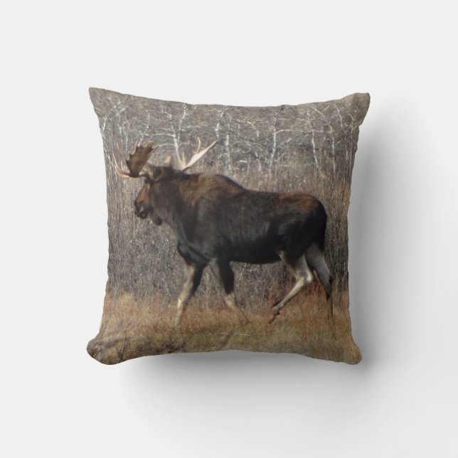 M8 Bull Moose Kissen (Vorderseite)