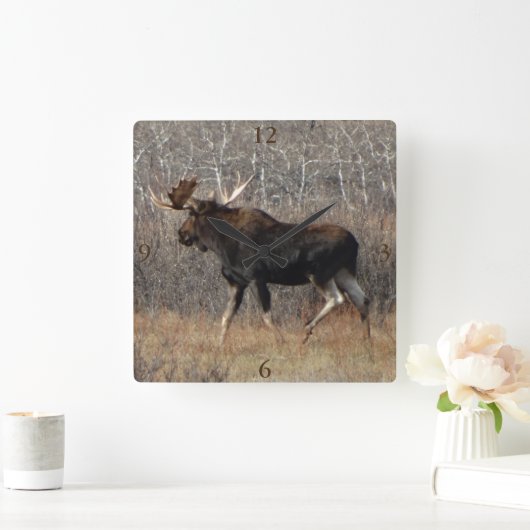 M8 Bull Moose Quadratische Wanduhr (Zuhause)