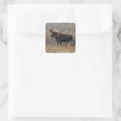 M8 Bull Moose Quadratischer Aufkleber (Tasche)