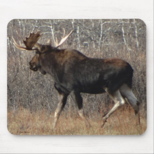 M8 Elchbulle im Gestrüpp Mousepad