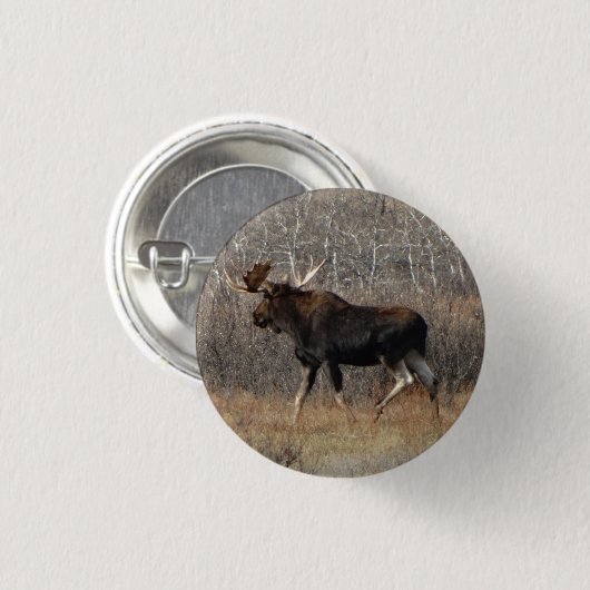 M8 Stier Elche Button (Vorne & Hinten)