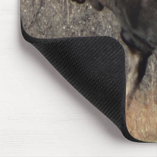 M8 Stier Elche in der Scheuerbürste Mousepad (Ecke)