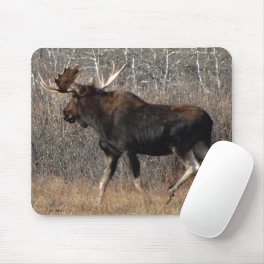 M8 Stier Elche in der Scheuerbürste Mousepad (Mit Mouse)