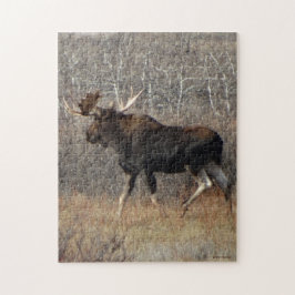 M8 Stier Elche Puzzle