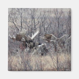 M9 Bull Elch Lay Magnet