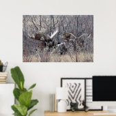 M9 Bull Elch Lay Poster (Heimbüro)