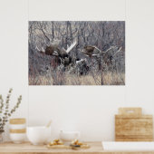 M9 Bull Elch Lay Poster (Küche)