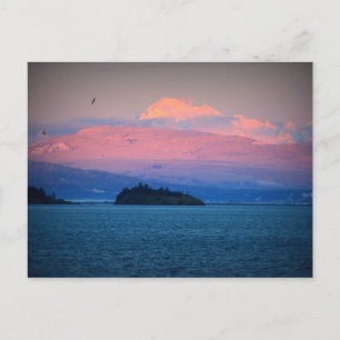 M. Baker Postcard Postkarte