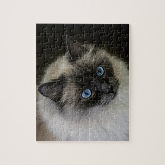 M ` Dame Puzzle (Vertikal)