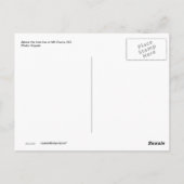 M. Evans, Colorado Postcard Postkarte (Rückseite)