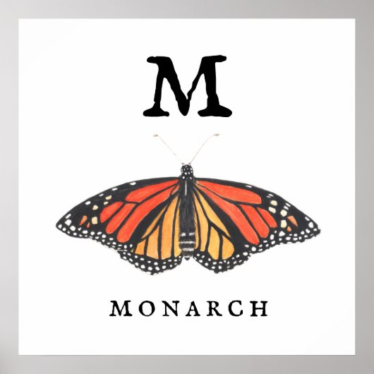 "M" für Monarch Print, Value Poster Paper (Matte) (Vorne)