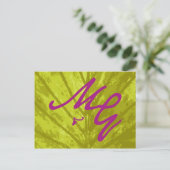 M&G Guestbook Postkarten (Stehend Vorderseite)