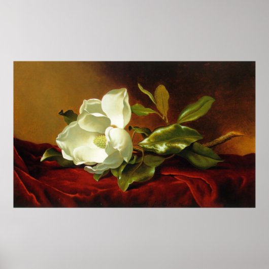 M J Heade | A Magnolia on Red Velvet Poster (Vorne)